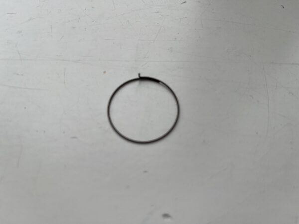 Fulcrum Freilauffeder